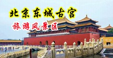 黑人内射口交中国北京-东城古宫旅游风景区